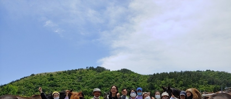 말 복지 법제화 촉구…퇴역마 학대 사건 규탄 기자회견 개최