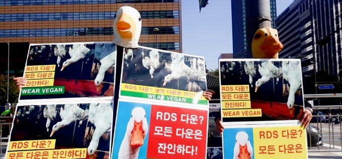 [전문] 한국동물보호연합 "RDS 다운?…모든 다운은 잔인하다!" 기자회견